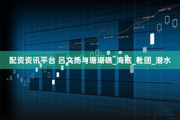 配资资讯平台 吕文扬与珊瑚礁_海底_社团_潜水