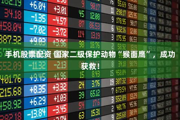 手机股票配资 国家二级保护动物“猴面鹰”，成功获救！