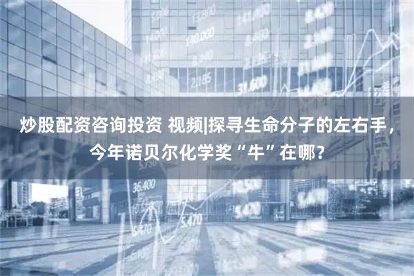 炒股配资咨询投资 视频|探寻生命分子的左右手，今年诺贝尔化学奖“牛”在哪？